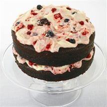 Celebration Chocolate Cake with Berry Icing