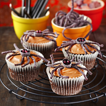 Chocolate Halloween Spider Cupcakes